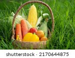 The Pile of Vegetable in the Bamboo basket on green grass in orgranic farming,cabbage,carrots,radish,corn