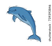 Dolphin Drawing Free Stock Photo - Public Domain Pictures