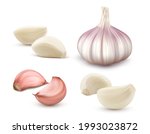 garlic set. whole and peeled... | Shutterstock .eps vector #1993023872