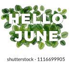 Text Hello June With Smooth...