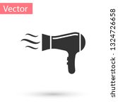 Grey Hair Dryer Icon Isolated...