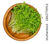 Small photo of Garden cress sprouts in a wooden bowl. Cress, pepperwort or peppergrass. Green seedlings and young plants of Lepidium sativum, a healthy microgreen. Close-up, from above, over white, macro food photo.