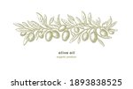olive sketch pattern. vector... | Shutterstock .eps vector #1893838525