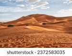 Merzouga is a small Moroccan town in the Sahara Desert, near the Algerian border. It’s known as a gateway to Erg Chebbi, a huge expanse of sand dunes north of town.