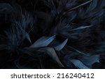 Black Feathers Close Up Of...