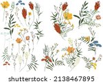 big set botanic floral elements.... | Shutterstock .eps vector #2138467895