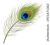 Peacock Feather Realistic In...
