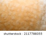 The texture of light brown faux fur.