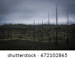 Dead Wood After The Eruption Of ...