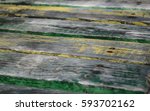 Small photo of Background of old wood with traces of old paint and green with moisture iest with a number of nails driven into