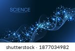 scientific molecule background... | Shutterstock .eps vector #1877034982