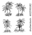 Set Tropical Palm Trees With...