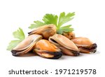 Heap Of Peeled Mussels With...