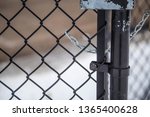 Chain Link Fence Chained Lock...