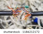 A damaged multi-core cable is shown close-up. Breakage of the telephone wire. Problems with telecommunications Internet connection. Disconnect