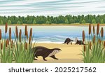 A Group Of River Otters On The...
