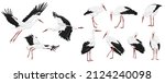 white stork set. male and... | Shutterstock .eps vector #2124240098