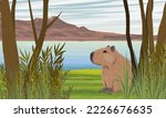 A Capybara Sits On The Shore Of ...