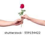 Two Hands With A Beautiful Rose ...