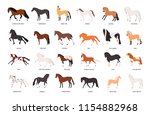 Collection Of Horses Of Various ...