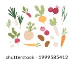 fresh organic root vegetables.... | Shutterstock .eps vector #1999585412