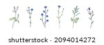 wild flowers set. floral herbal ... | Shutterstock .eps vector #2094014272