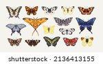 Realistic Butterflies Set....
