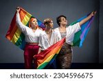 Small photo of Portrait of a group Asian young gay man happy while posing with gay pride rainbow flag at studio over gray background. People lifestyle fashion lgbtq concept