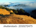 Fog rolls in and settles in between the hills and valley of Mt Tamalpais in Marin County, near San Francisco.