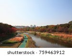 Tancheon river landscape in autumn, Seongnamsi Korea.