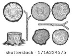 set of illustrations of wood... | Shutterstock .eps vector #1716224575