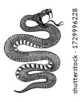 illustration of poisonous snake ... | Shutterstock .eps vector #1729996228