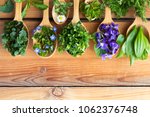 Fresh wild edible spring herbs on wooden spoons