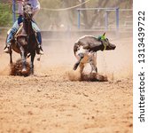 Small photo of Animal being lassoed by cowboys in a team calf roping competition at an Australian country rodeo