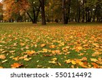 Autumn Leaves On The Lawn Of...