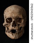 Ancient Human Skull On Black...