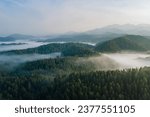 Aerial view of foggy forest and mountains in early morning.