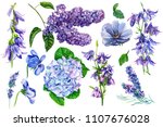 Set Of Purple Flowers On...