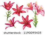 Elegant Lilies  Set Of Red And...