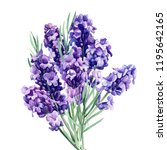 Lavender  Bouquet Flowers On An ...