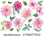 Set Of Watercolor Flowers And...