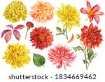 Set Of Coloreds Flowers ...