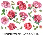 Set Of Red And Pink Roses  In...