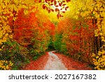 Colorful trees and footpath road in autumn landscape in deep forest. The autumn colors in the forest create a magnificent view. autumn view in nature. Domanic, Bursa, Turkey