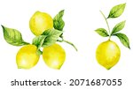 Bright Yellow Lemon Fruits On A ...