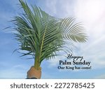Palm Sunday concept with person holding palm leaves in hand against bright blue sky background. Happy Palm Sunday. Our King has come. Christianity concept.