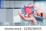 Small photo of Probiotic bacteria around gut. Intestinal tract gut in doctors hand. Concept supplying digestive system with probiotics. Probiotic cells in gut. Hands of gastroenterologist in interior of clinic