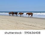 Corolla Beach  Outer Banks ...