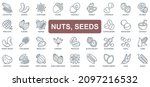 Nuts And Seeds Concept Simple...