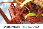 Small photo of View of live Tasmanian Southern Red Rock Lobster or Crays on the ice at local fish market. It is a salt-water fish that good for grilling, baking, steaming, poaching, stir-fry and boiling. Wild-caugh.